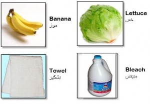 picture guide snip